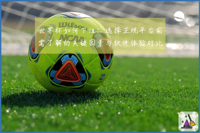世界杯如何下注：选择正规平台前需了解的关键因素与软件体验对比