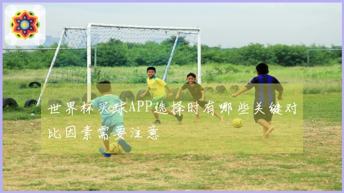 世界杯买球APP选择时有哪些关键对比因素需要注意