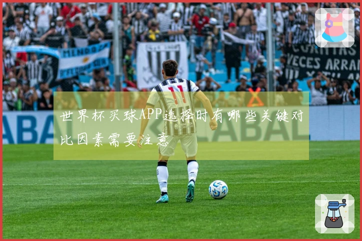 世界杯买球APP选择时有哪些关键对比因素需要注意