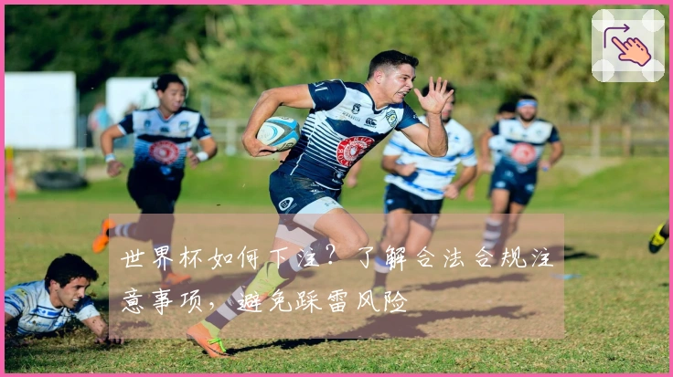 世界杯如何下注？了解合法合规注意事项，避免踩雷风险