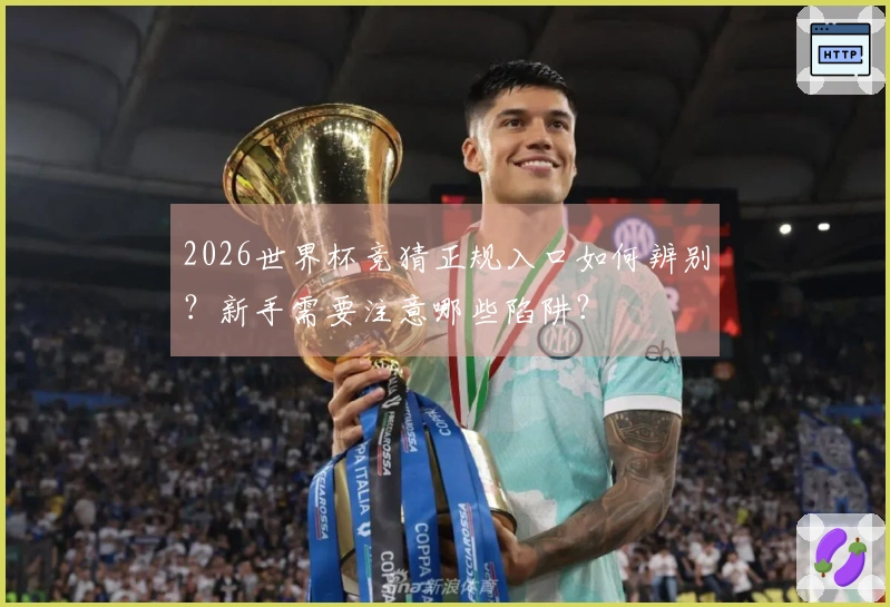 2026世界杯竞猜正规入口如何辨别？新手需要注意哪些陷阱？