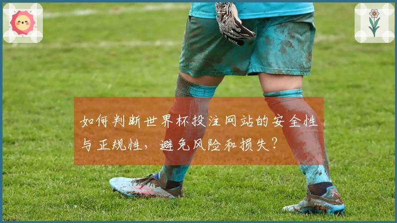 如何判断世界杯投注网站的安全性与正规性，避免风险和损失？