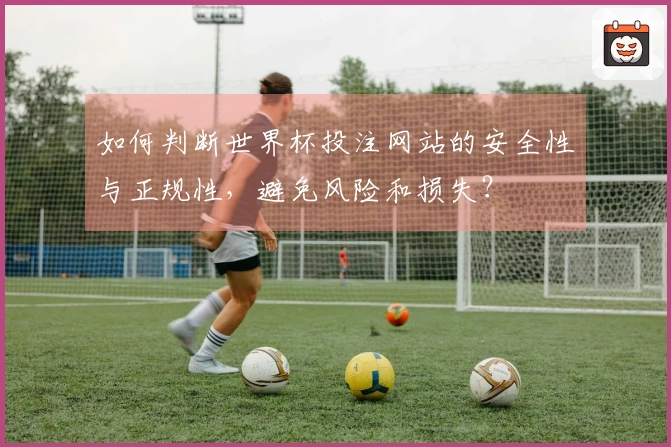 如何判断世界杯投注网站的安全性与正规性，避免风险和损失？