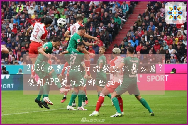 2026世界杯投注指数变化怎么看？使用APP要注意哪些细节