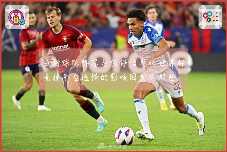 分析球队阵容与伤停信息对世界杯竞猜平台选择的影响因素有哪些