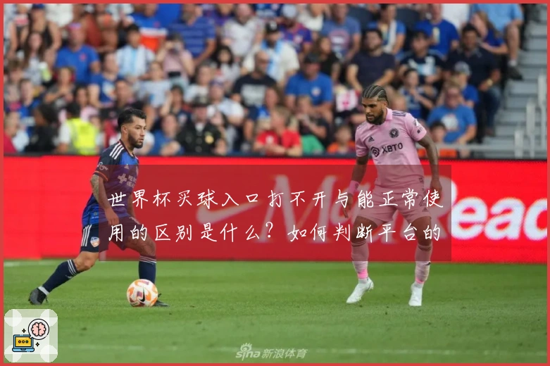 世界杯买球入口打不开与能正常使用的区别是什么？如何判断平台的可靠性？