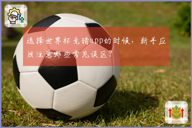 选择世界杯竞猜app的时候，新手应该注意哪些常见误区？