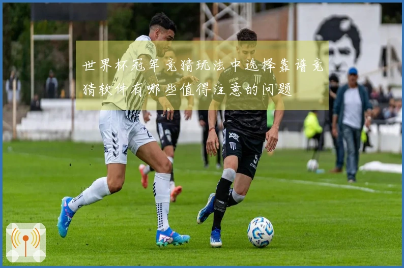 世界杯冠军竞猜玩法中选择靠谱竞猜软件有哪些值得注意的问题