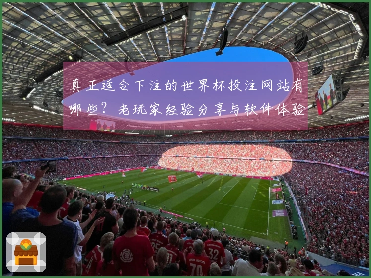真正适合下注的世界杯投注网站有哪些？老玩家经验分享与软件体验对比
