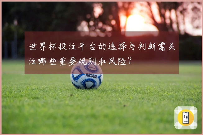 世界杯投注平台的选择与判断需关注哪些重要规则和风险？