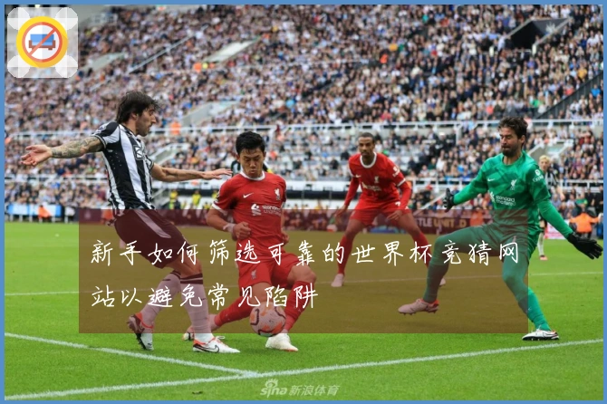 新手如何筛选可靠的世界杯竞猜网站以避免常见陷阱