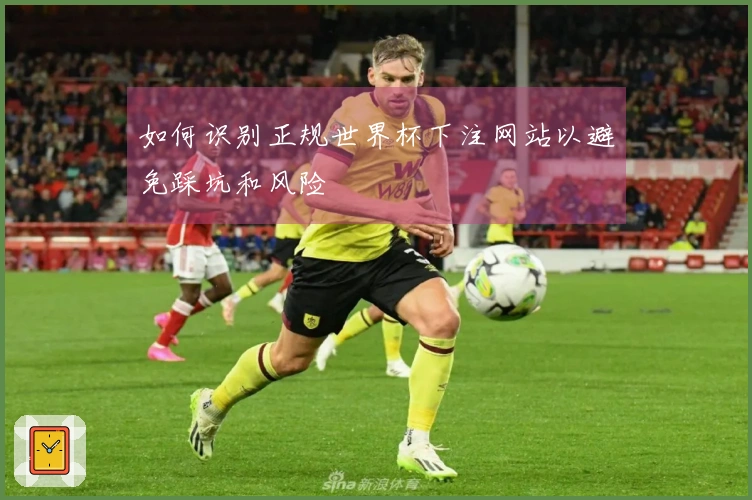如何识别正规世界杯下注网站以避免踩坑和风险