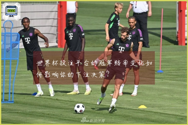 世界杯投注平台的冠军赔率变化如何影响你的下注决策？