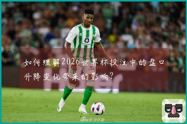 如何理解2026世界杯投注中的盘口升降变化带来的影响？