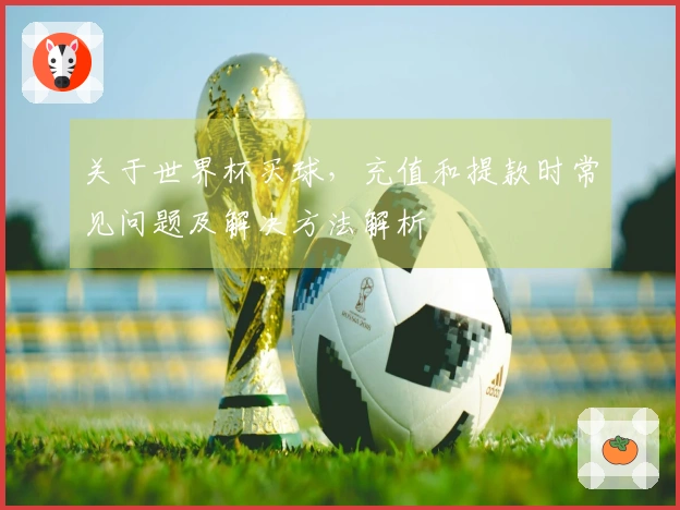 关于世界杯买球，充值和提款时常见问题及解决方法解析