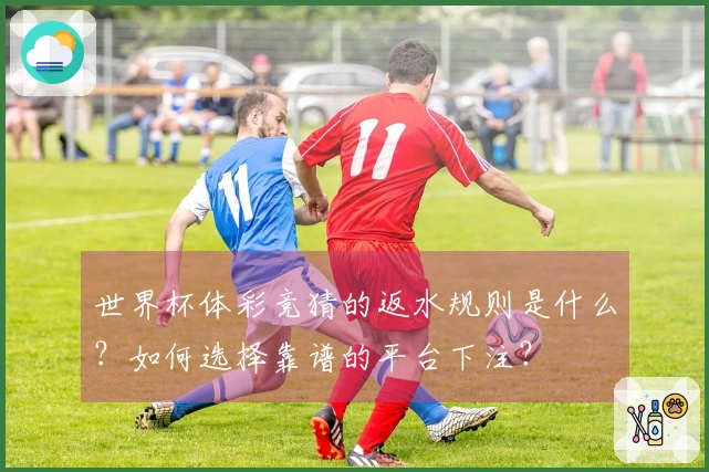 世界杯体彩竞猜的返水规则是什么？如何选择靠谱的平台下注？
