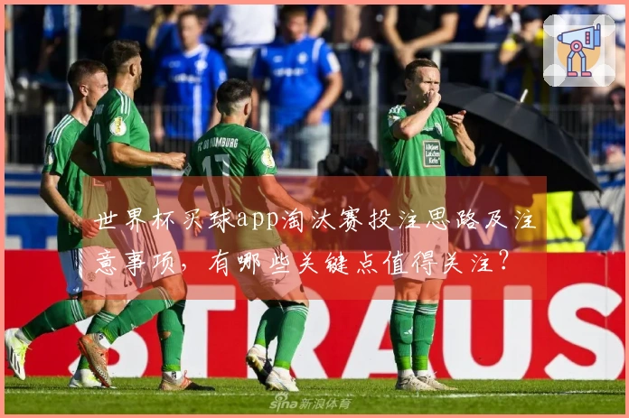 世界杯买球app淘汰赛投注思路及注意事项，有哪些关键点值得关注？