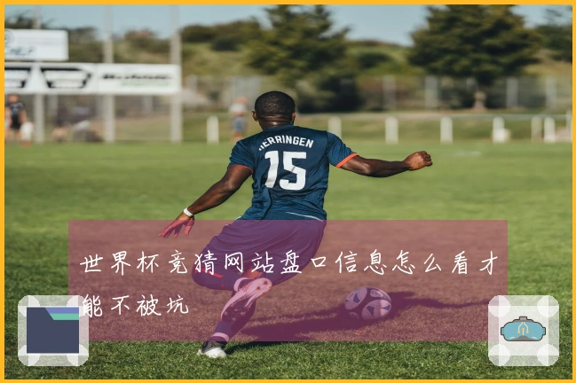 世界杯竞猜网站盘口信息怎么看才能不被坑