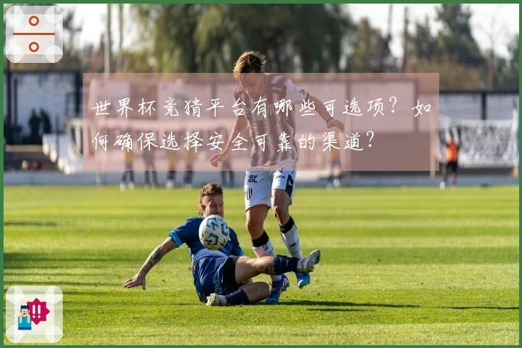 世界杯竞猜平台有哪些可选项？如何确保选择安全可靠的渠道？